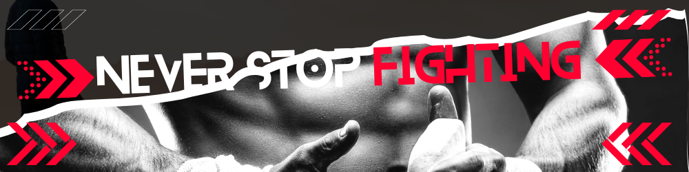 NEVER STOP FIGHTING